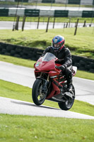 Lower Group Red Bikes
